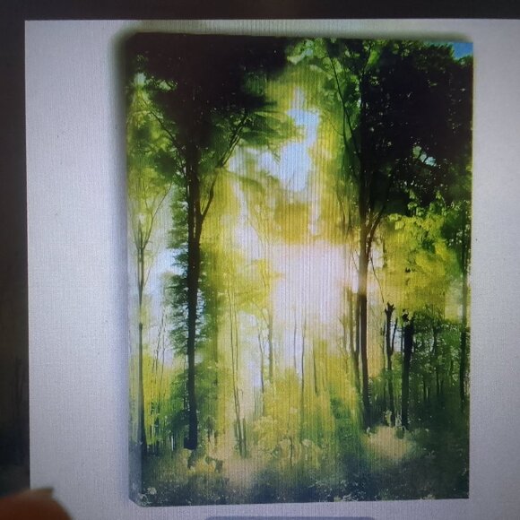 Well-done abstract forest canvas oil painting, wooden frame, brand new